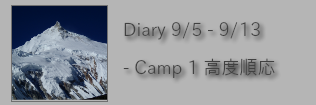 Diary 9/5-9/13