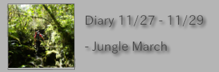 Diary 11/27-11/29