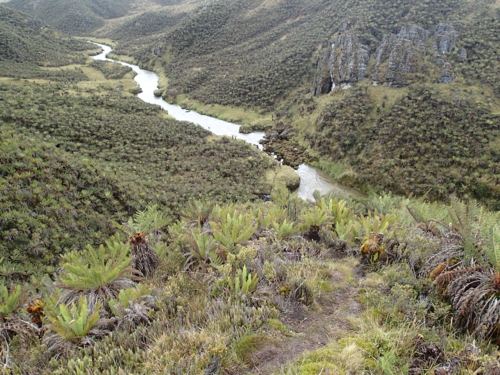 river and grass