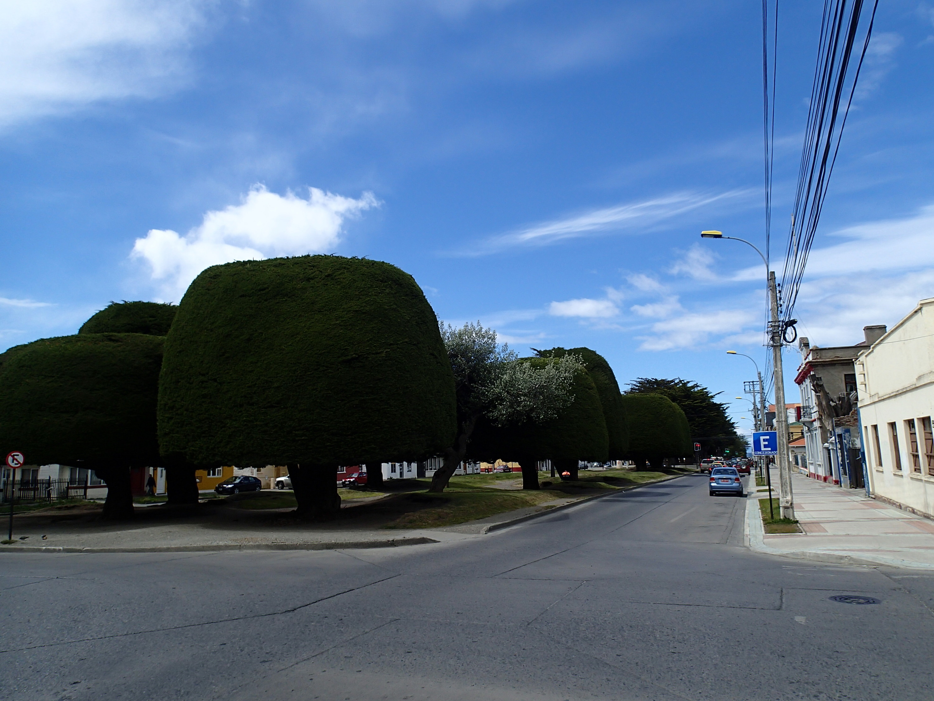 punta arenas street