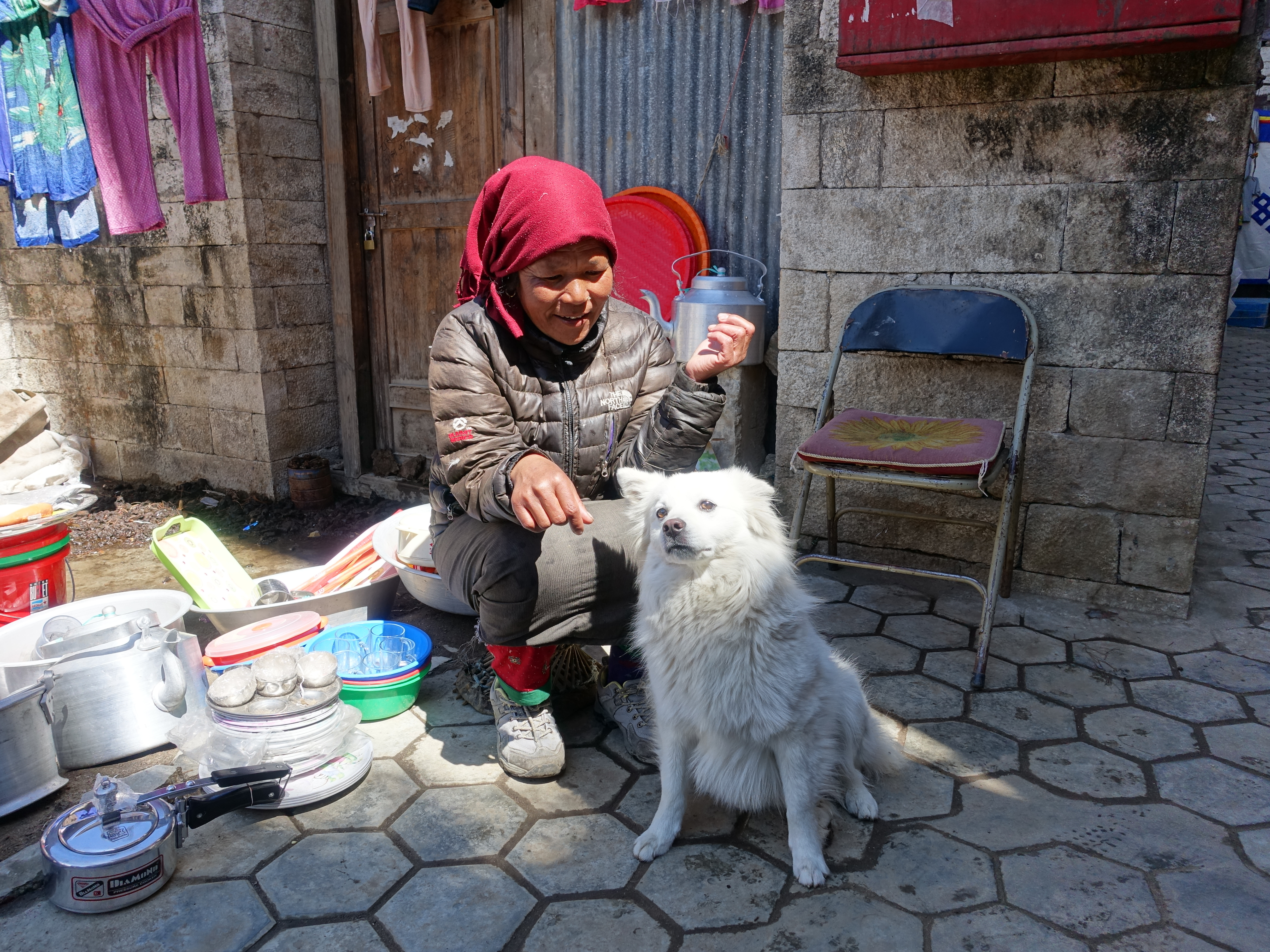 Dog of Namche