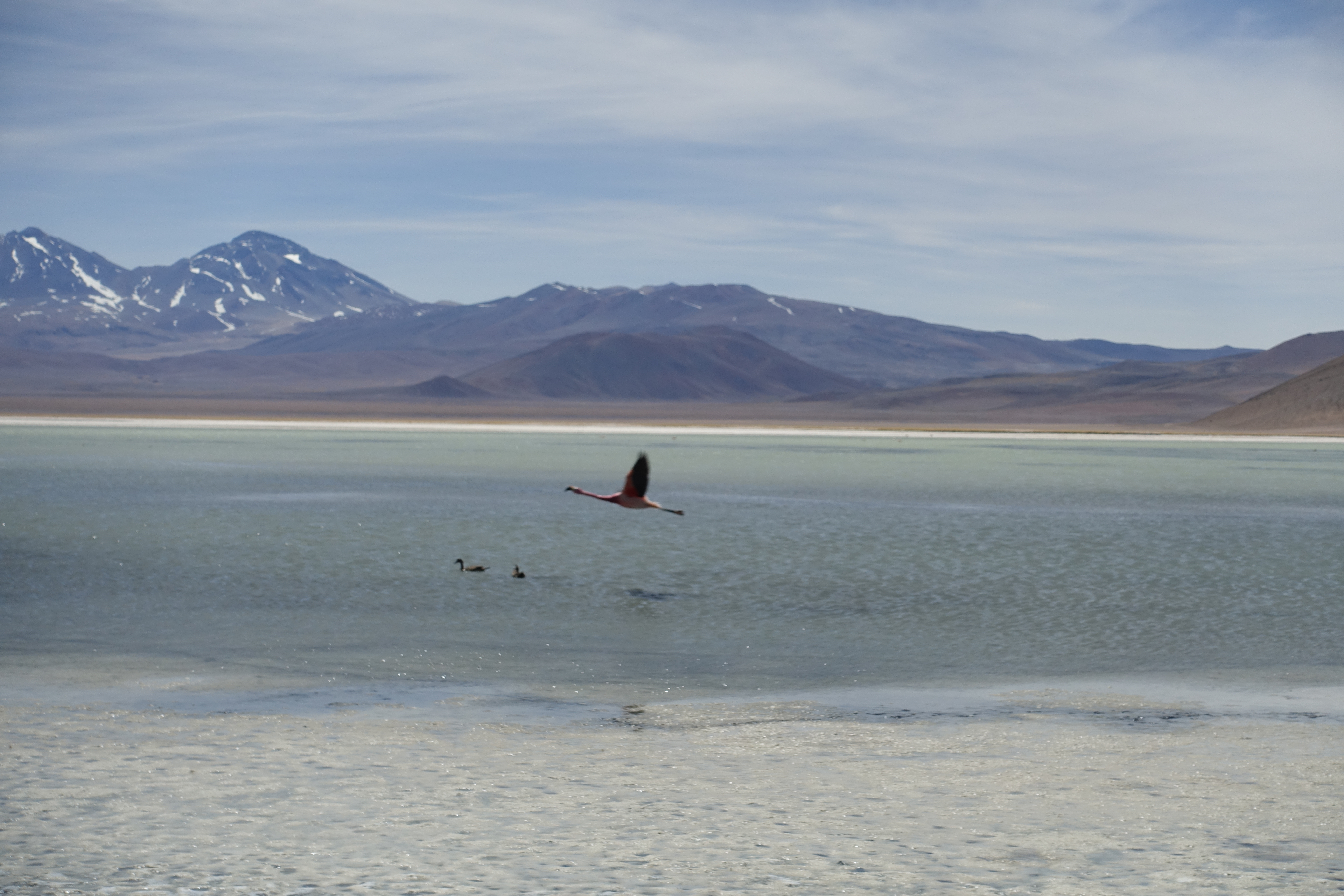 Laguna Santa Rosa