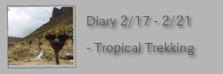 Diary 2/17-2/21