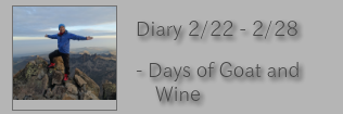 Diary 2/22-2/28