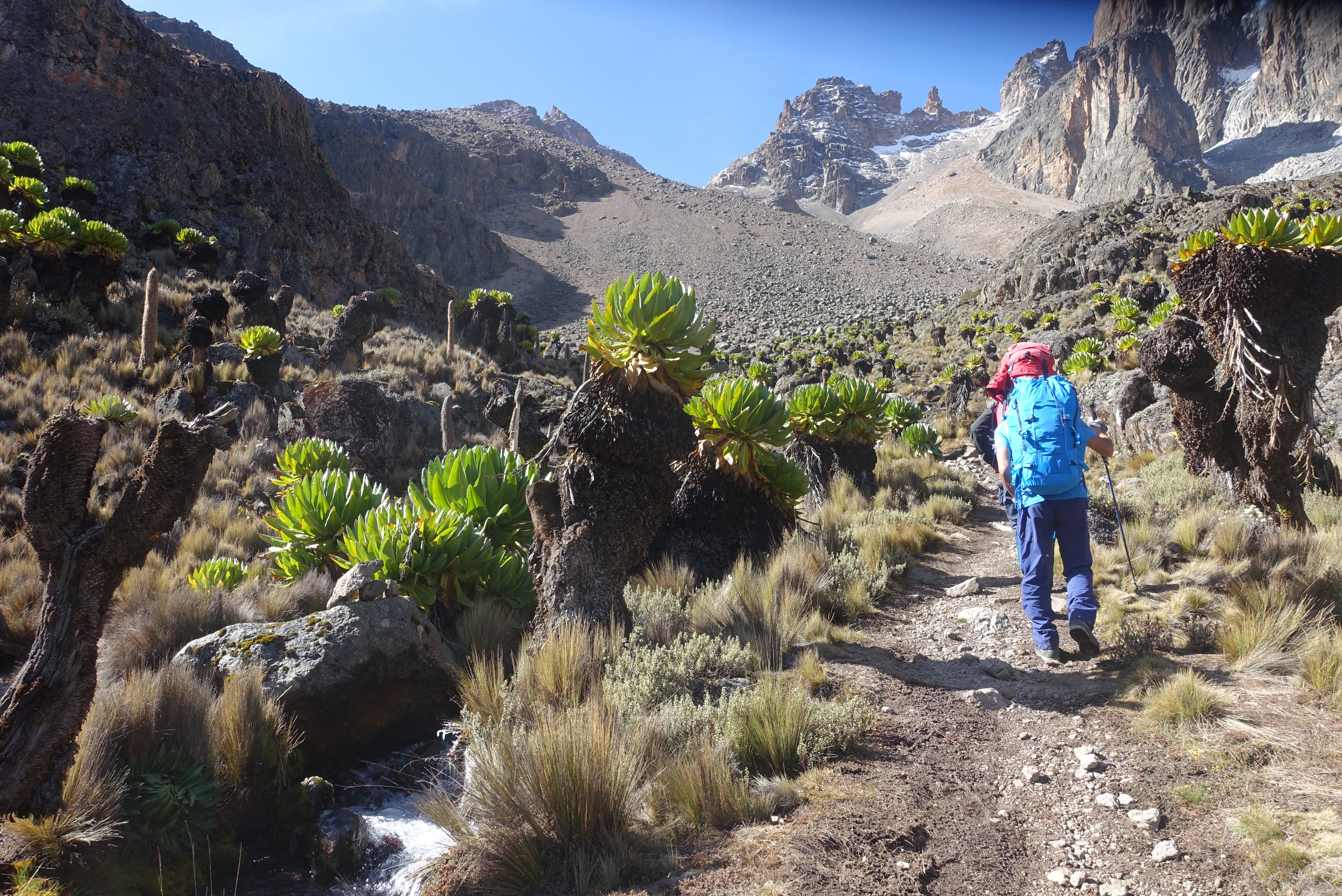 Tropical trekking